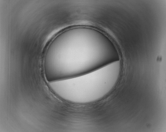 X0000111021364200906191220