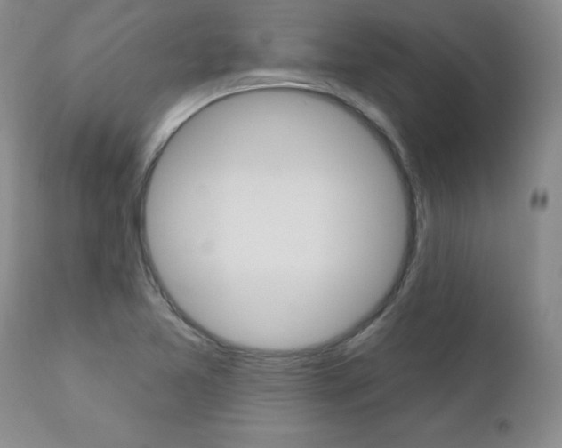 X0000111021365200906191220