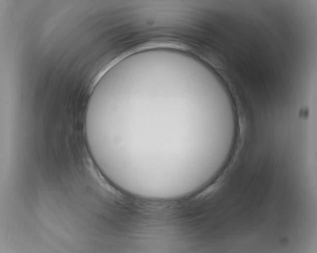 X0000111021369200906191220