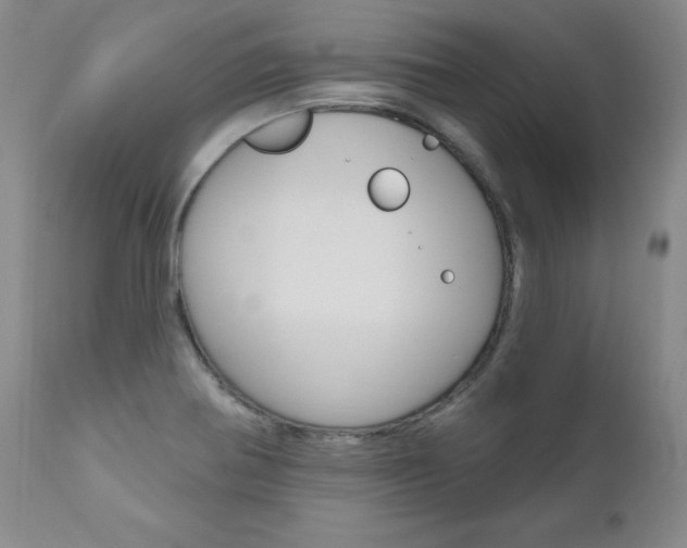 X0000111021370200906191220