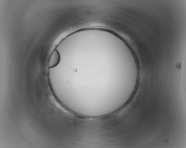 X0000111021374200906191220