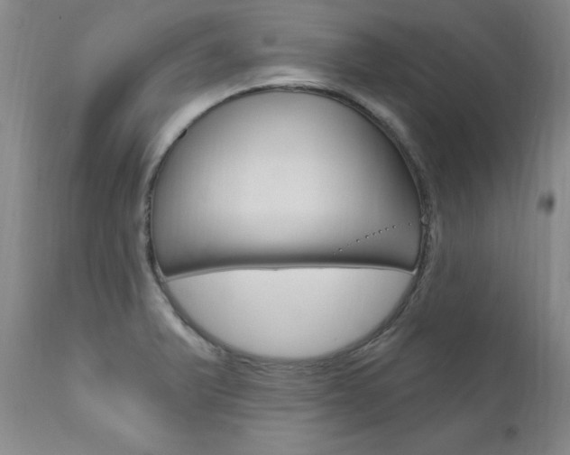 X0000111021375200906191220