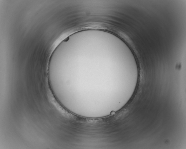 X0000111021378200906191220