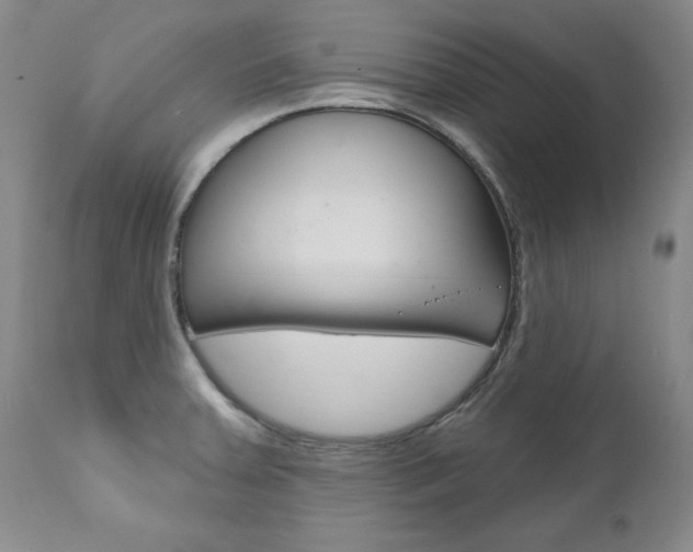X0000111021379200906191220