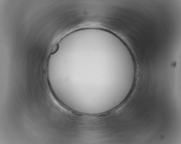 X0000111021382200906191220