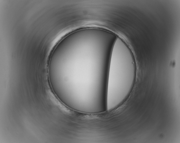 X0000111021384200906191220