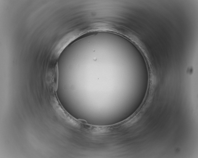 X0000111021385200906191220