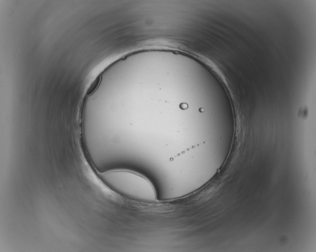 X0000111021387200906191220