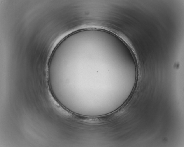 X0000111021388200906191220