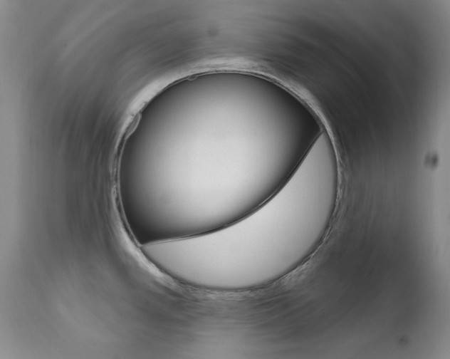 X0000111021389200906191220