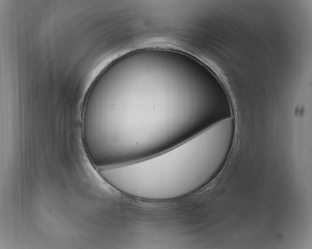 X0000111021392200906191220