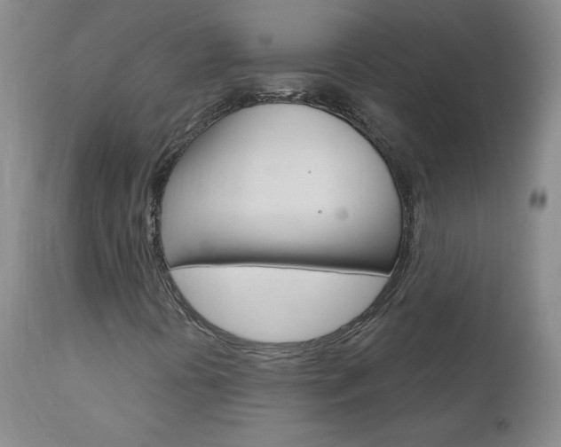 X0000111021394200906191219
