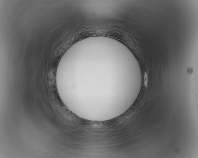 X0000111021395200906191219