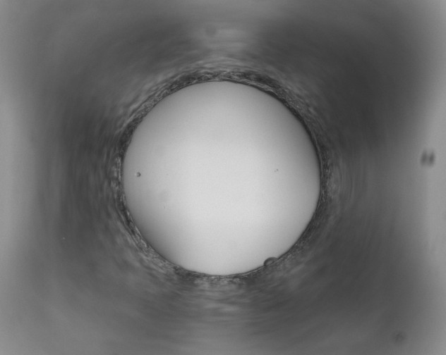X0000111021397200906191219