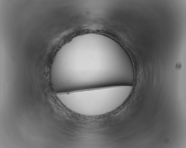 X0000111021398200906191219
