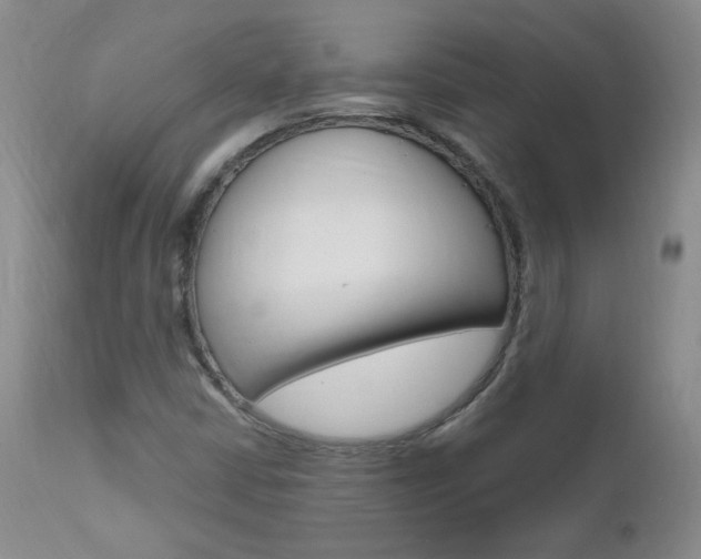X0000111021402200906191219