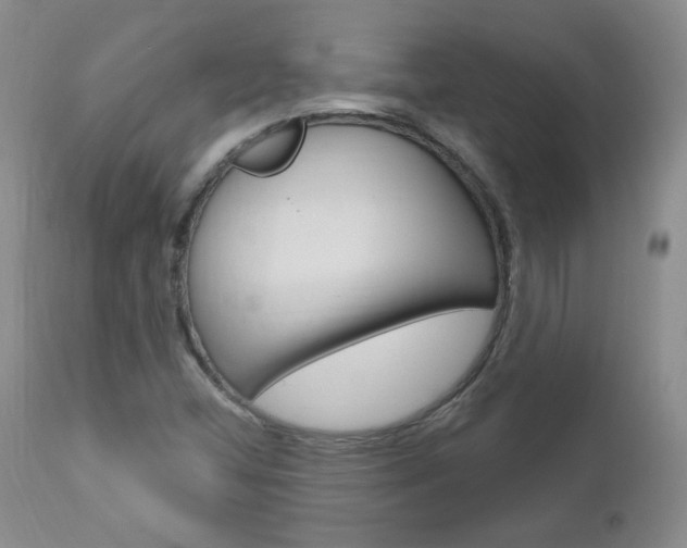 X0000111021404200906191219