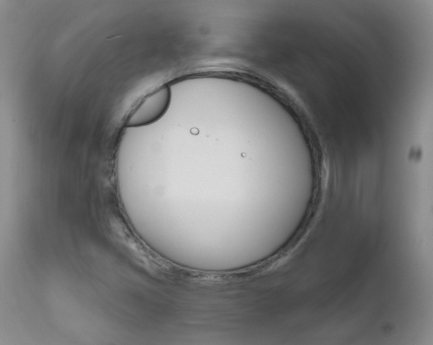 X0000111021405200906191219