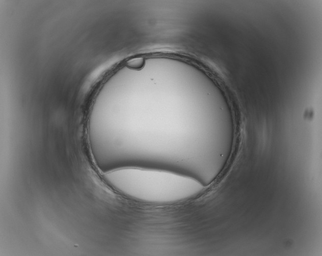 X0000111021406200906191219