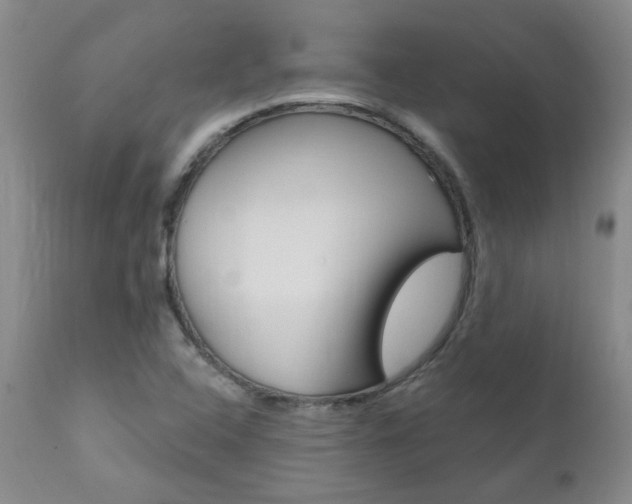 X0000111021408200906191220