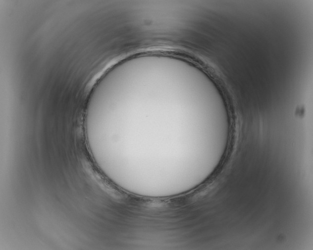 X0000111021409200906191220
