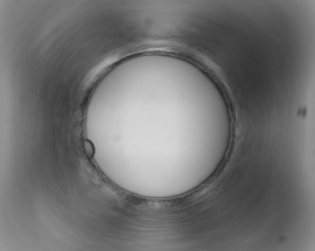 X0000111021411200906191220