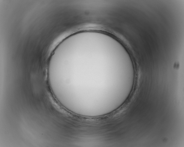 X0000111021413200906191220