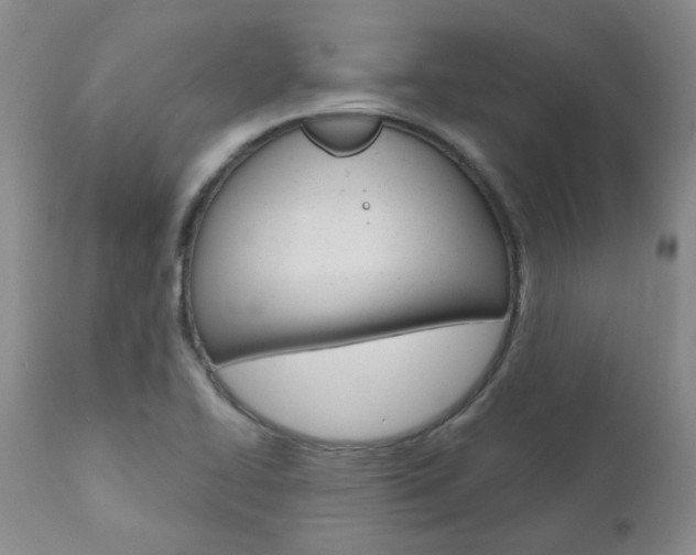 X0000111021414200906191220