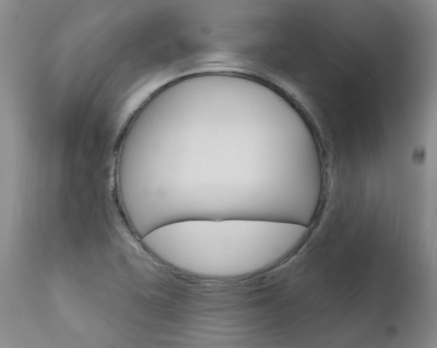 X0000111021415200906191220
