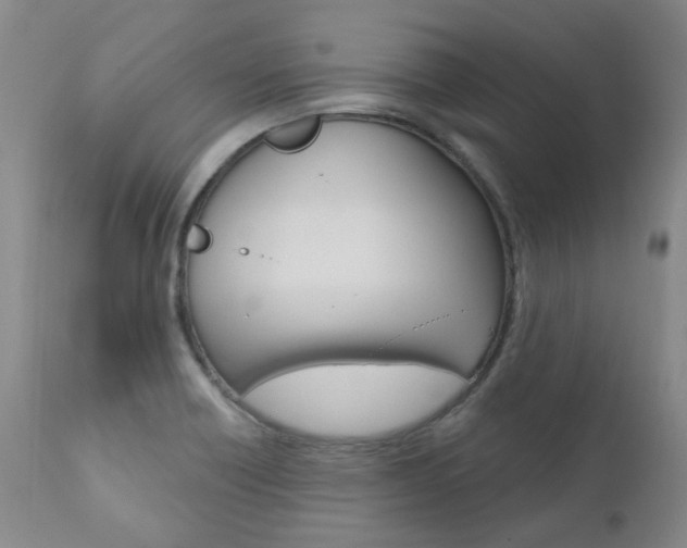 X0000111021418200906191220
