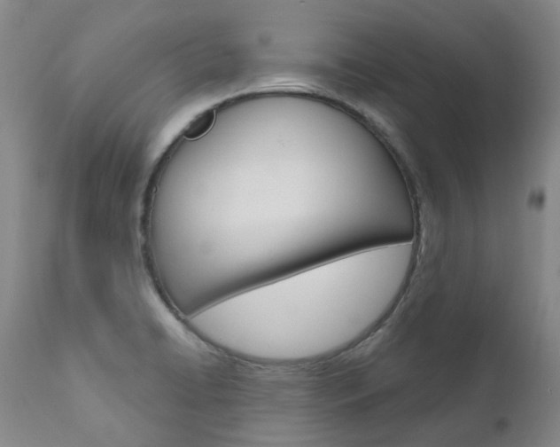 X0000111021422200906191220