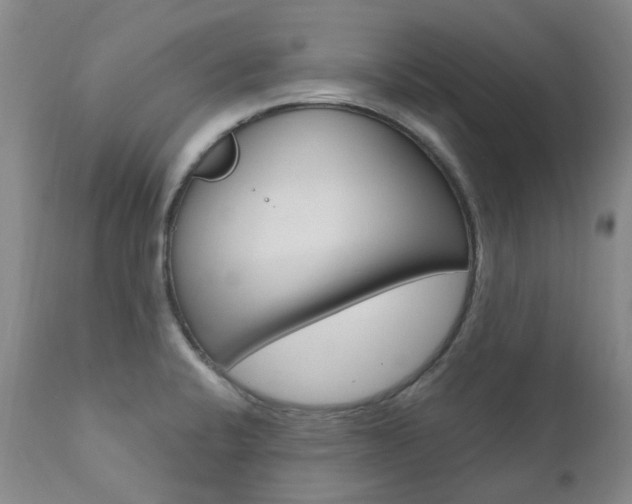 X0000111021424200906191220