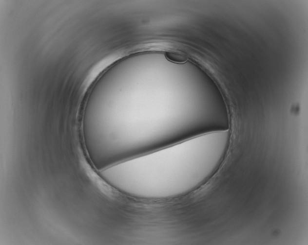 X0000111021426200906191220