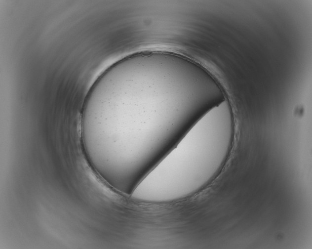 X0000111021428200906191220