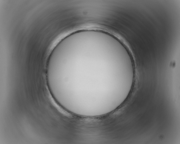 X0000111021429200906191220