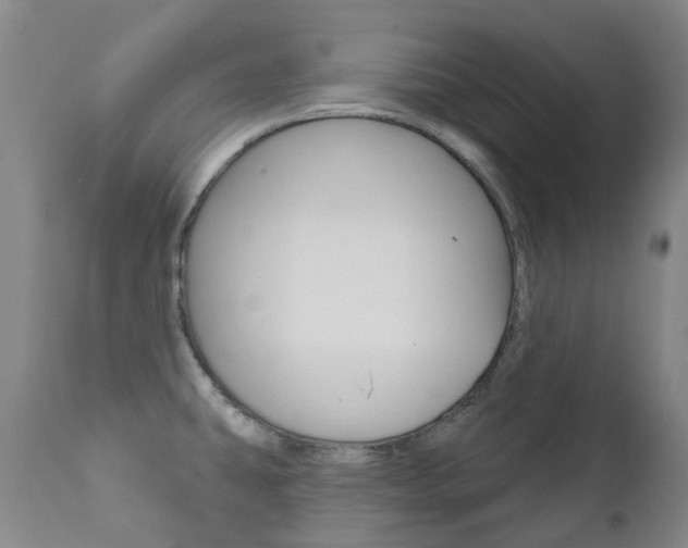 X0000111021431200906191220