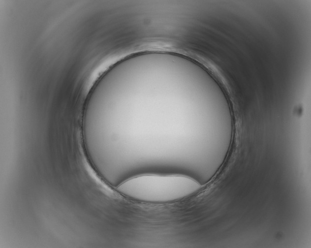 X0000111021432200906191220