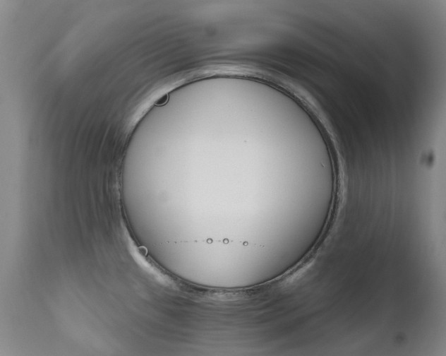 X0000111021433200906191220