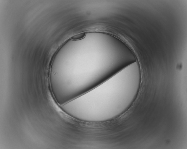 X0000111021434200906191220