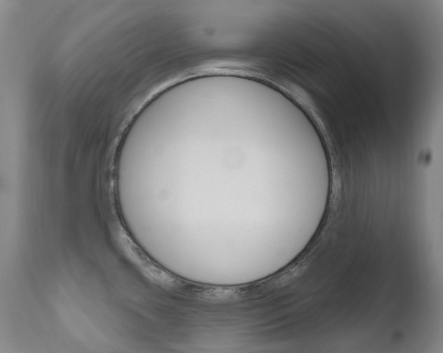 X0000111021435200906191220