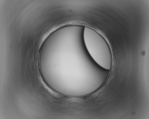 X0000111021437200906191220