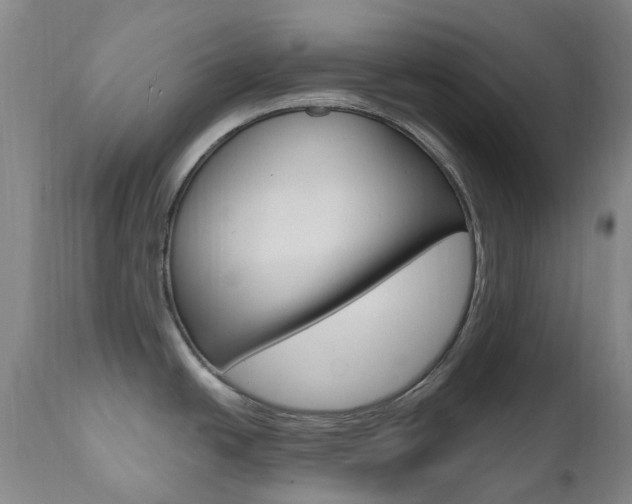 X0000111021438200906191220