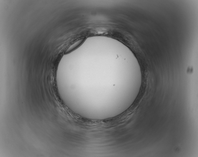 X0000111021442200906191219