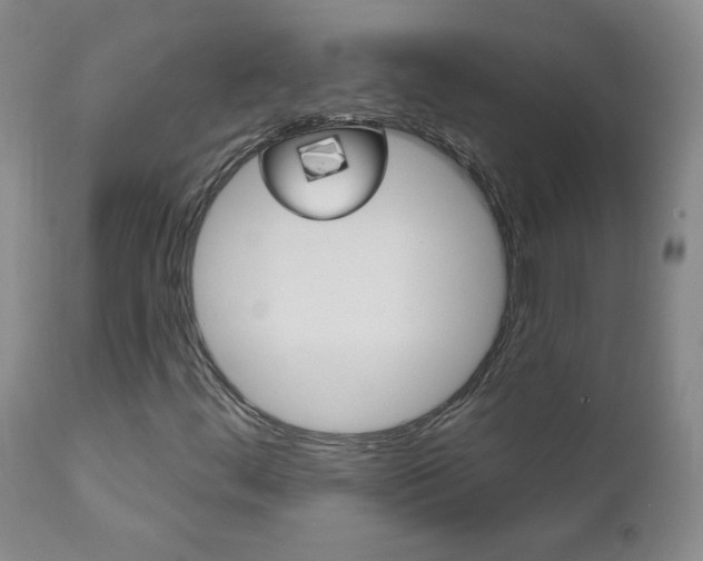 X0000111021444200906191219