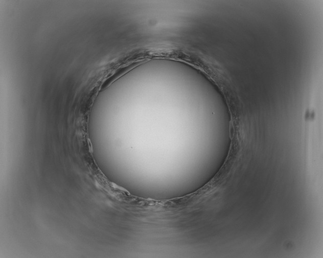 X0000111021445200906191219