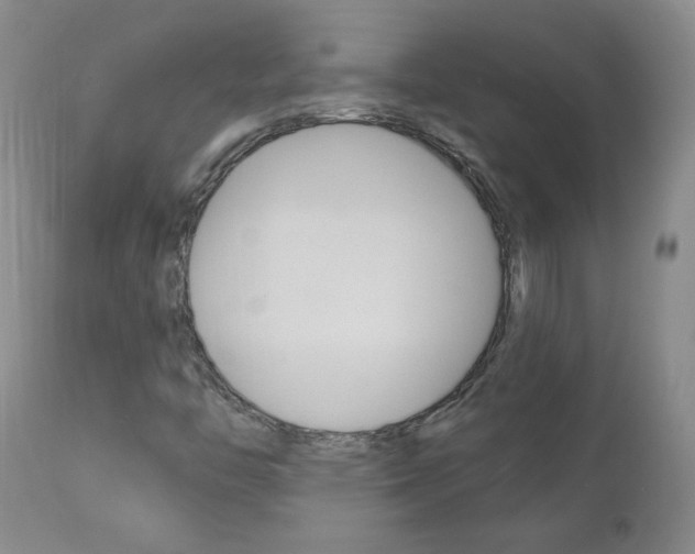 X0000111021446200906191219