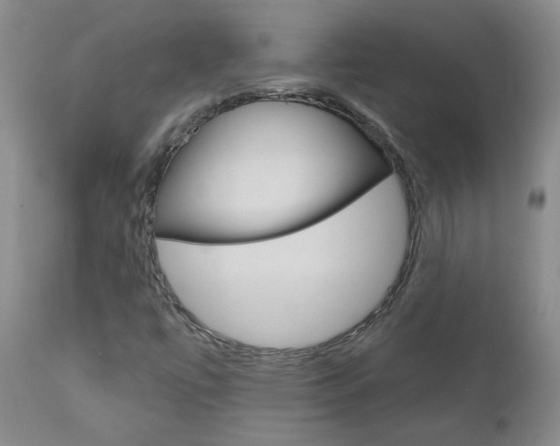 X0000111021447200906191219