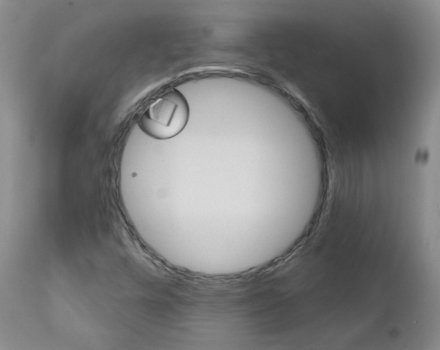 X0000111021448200906191219
