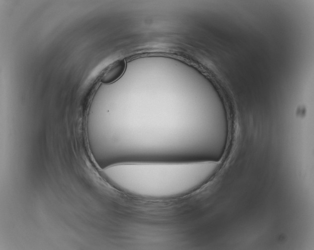 X0000111021450200906191219