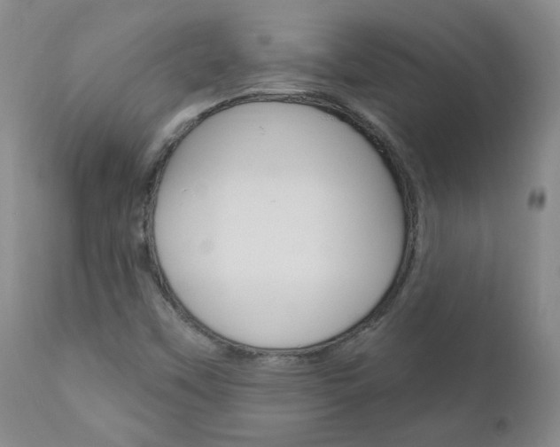 X0000111021451200906191219